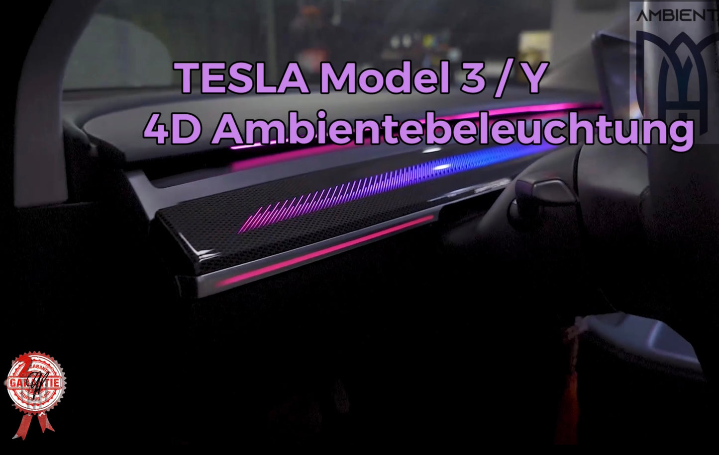 2. Tesla Model 3 / Model Y 3d version