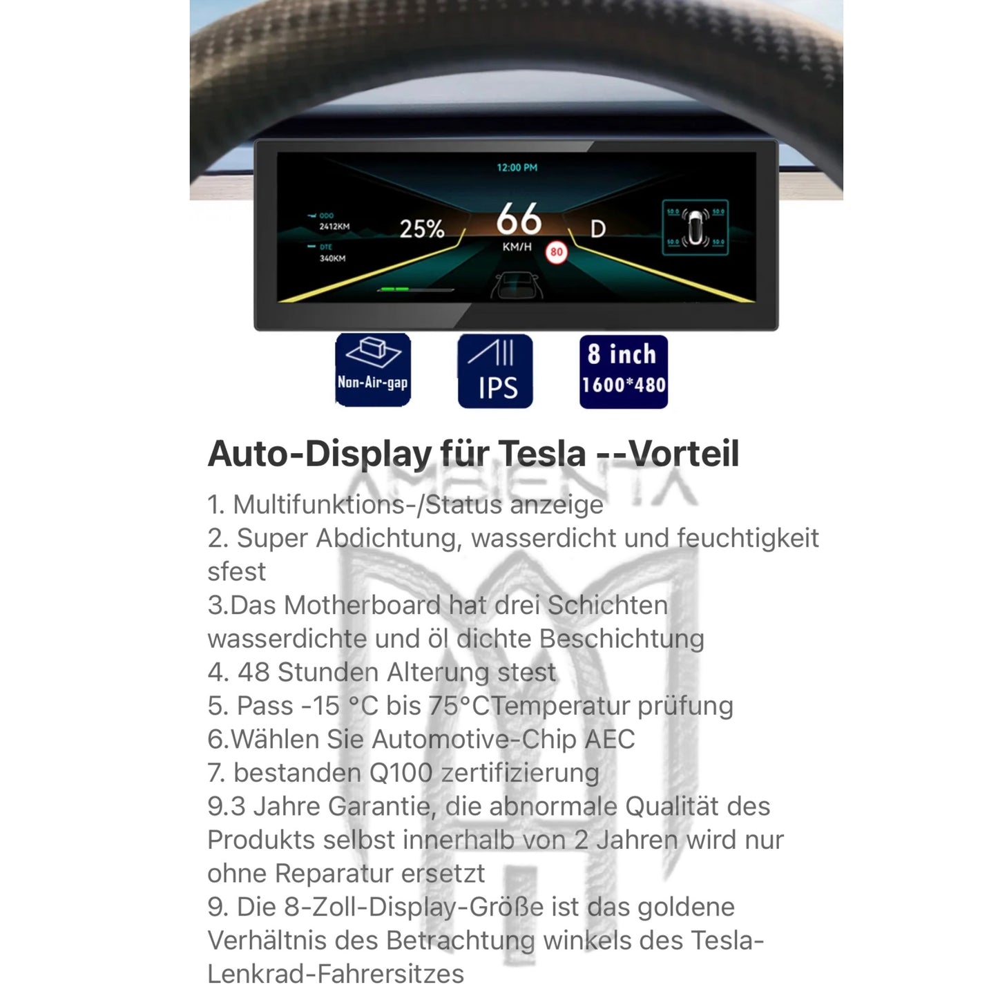 Tesla Tacho Display für Model 3 / Model Y