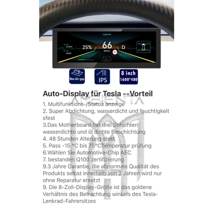 Tesla Tacho Display für Model 3 / Model Y