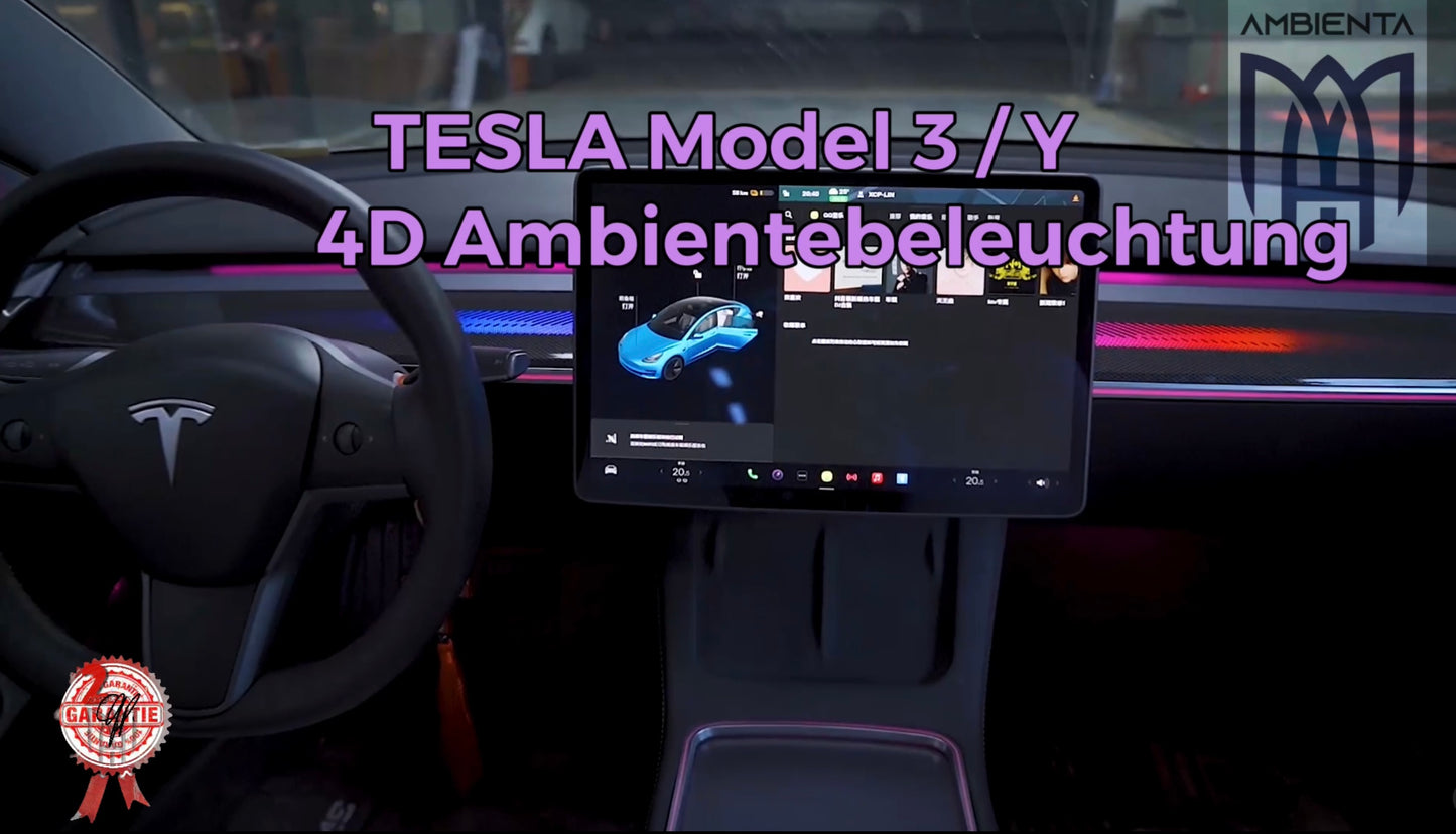 2. Tesla Model 3 / Model Y 3d version